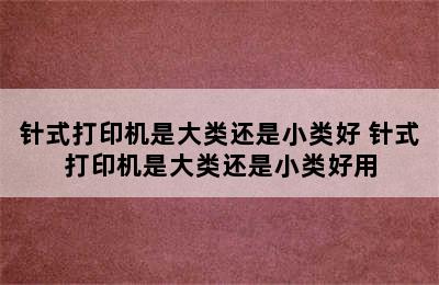 针式打印机是大类还是小类好 针式打印机是大类还是小类好用